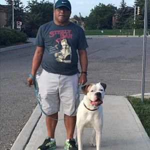 Meet your Posher, Cesar